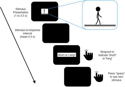 Dilation and Constriction of Subjective Time Based on Observed Walking Speed